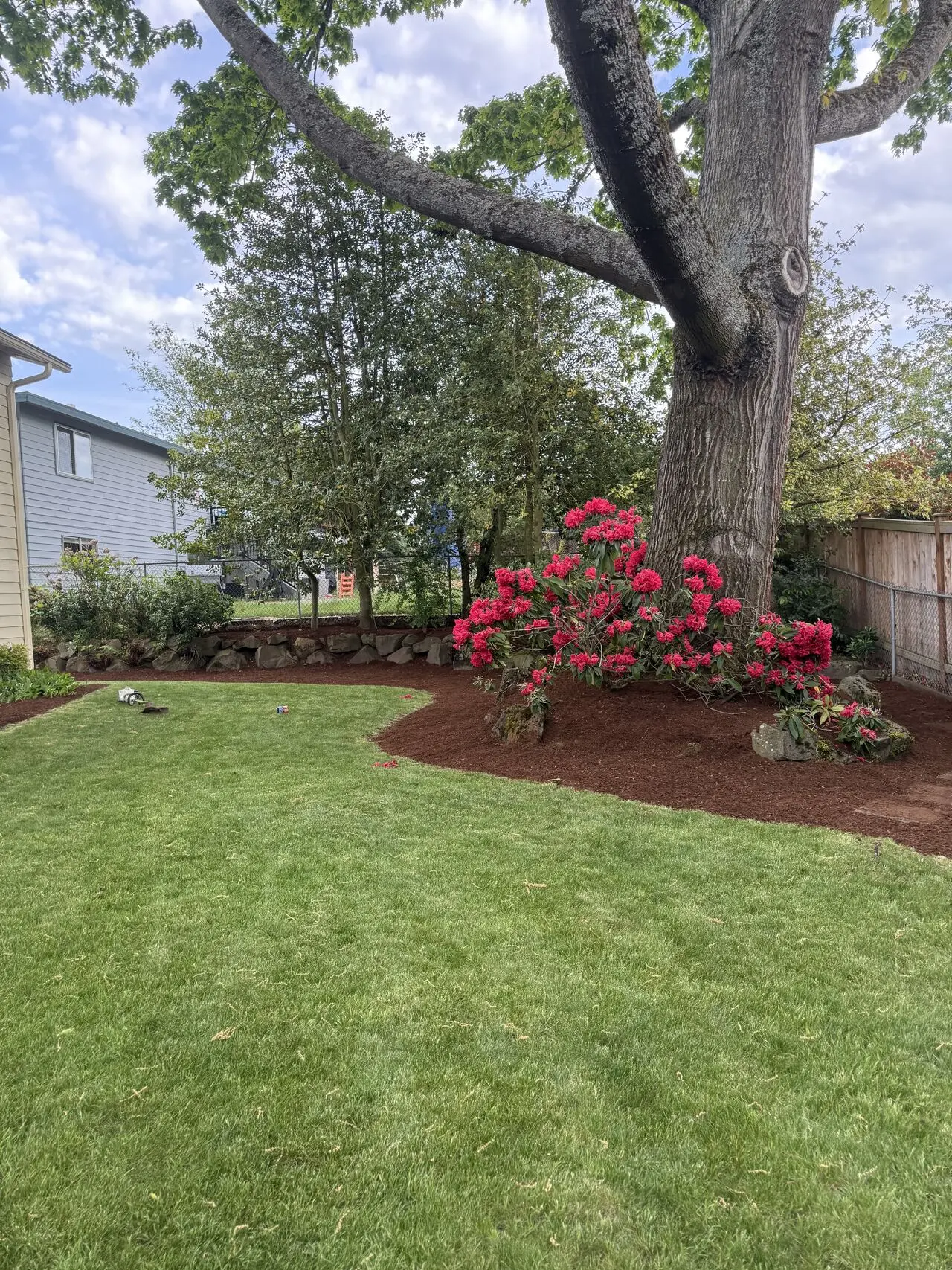 Landscaped backyard with a mature tree, fresh mulch bed and vibrant red flowers