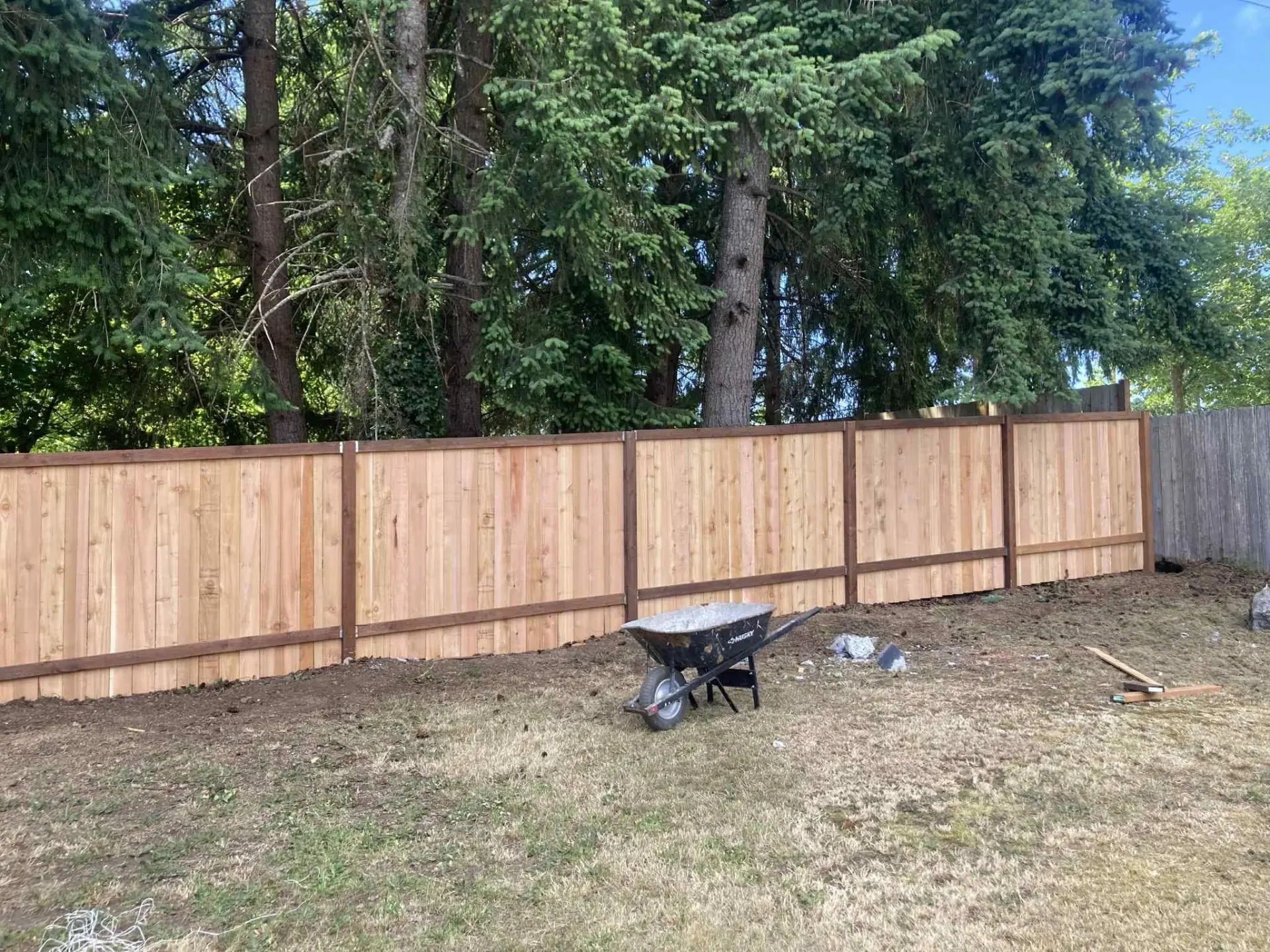 New cedar privacy fence installed along a wooded property line